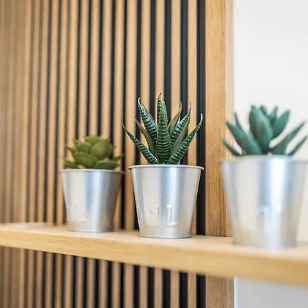 I & I Apart, Garage - Historical Old Town براتسيلافا